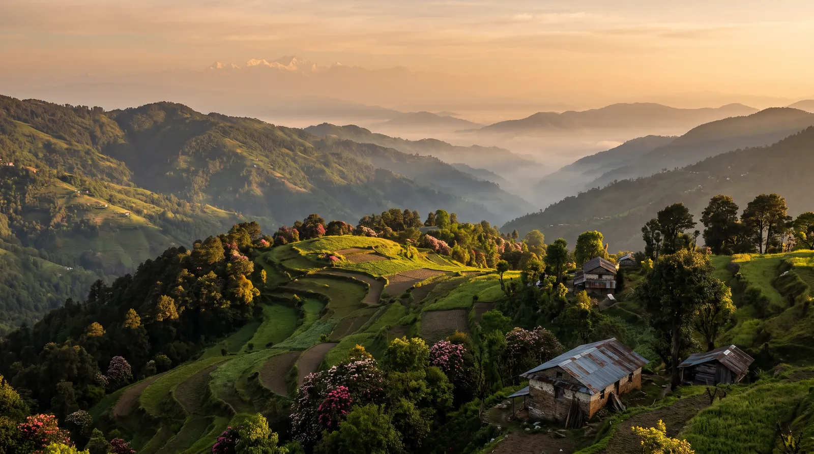 Misty terraced hills of eastern Nepal at sunrise